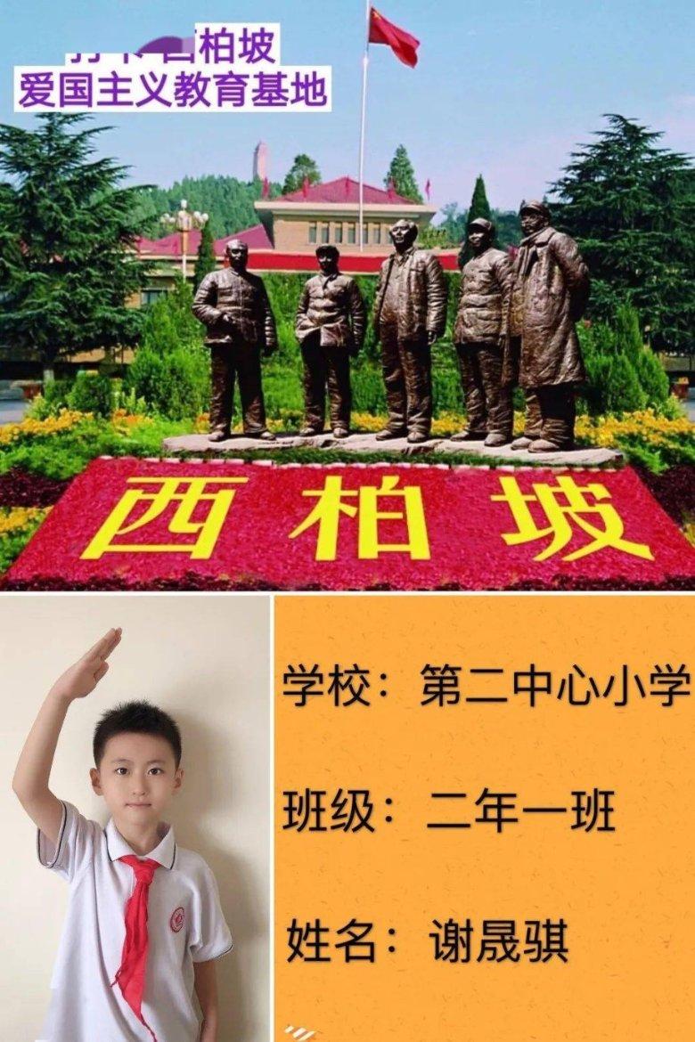 办离婚证都需要哪些证件游戏画面